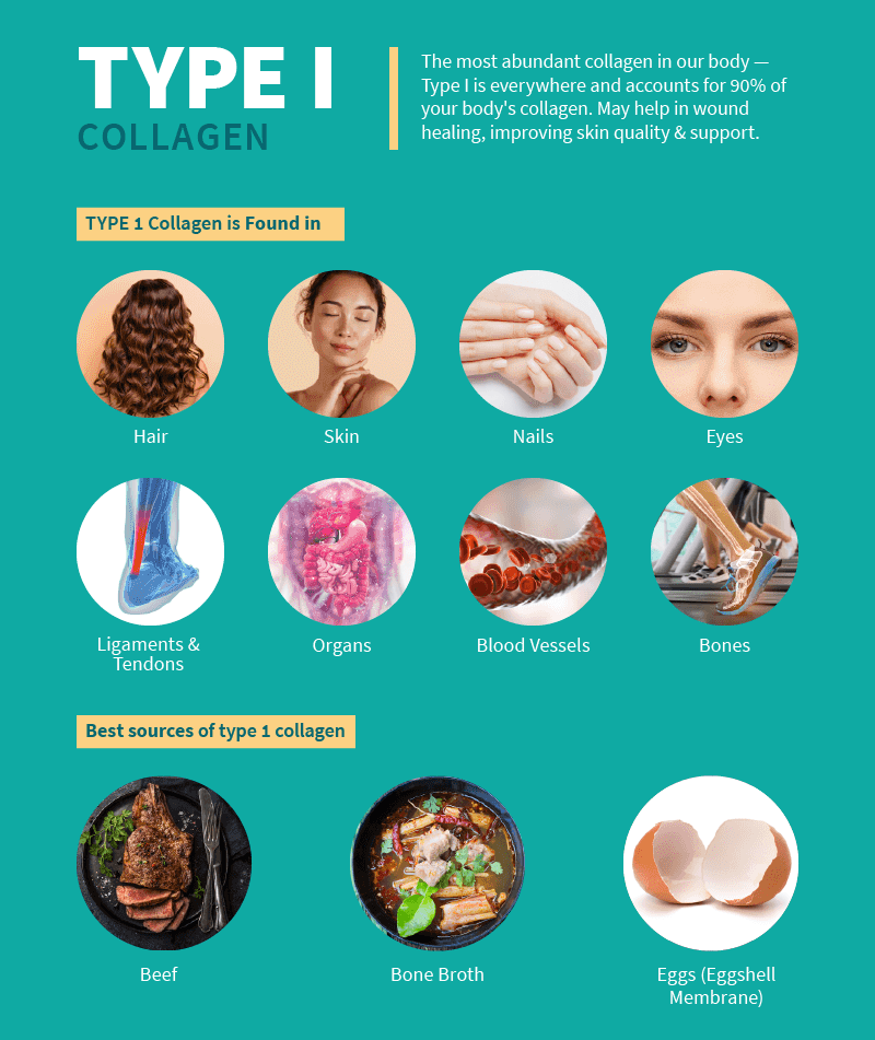 Type I Collagen Sources, Benefits