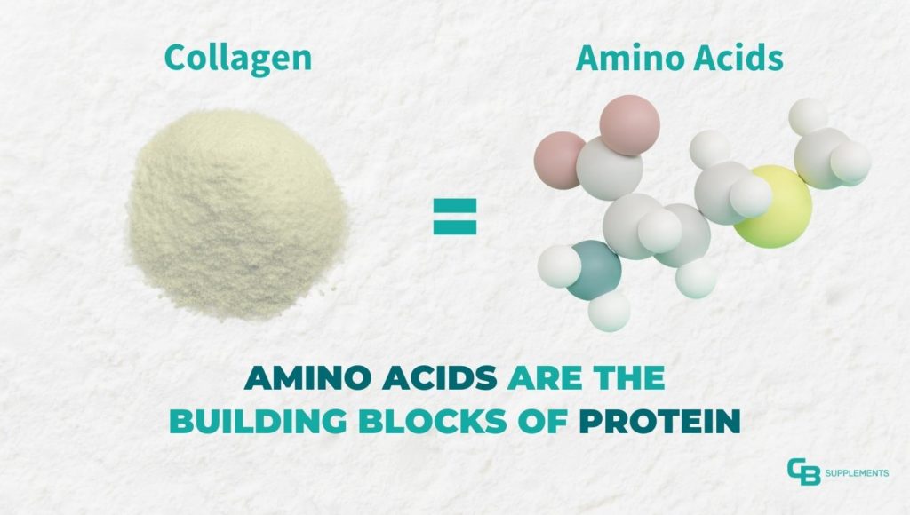 Collagen is amino acids -- the building blocks of protein