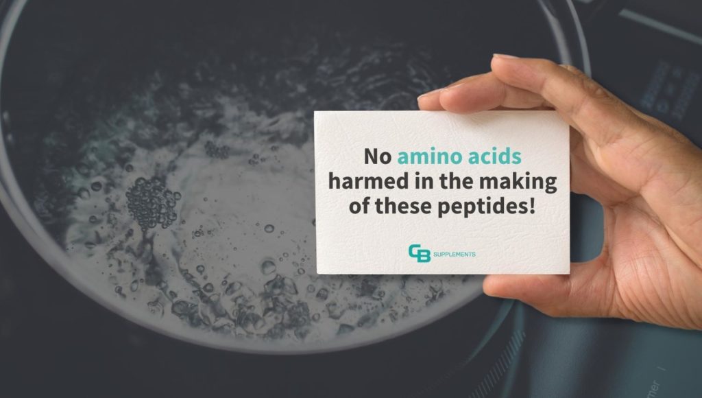 Amino acids are not damaged or degraded during hydrolysis to make collagen peptides