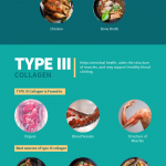 5 Types of Collagen: I, II, III, V, X Infographic