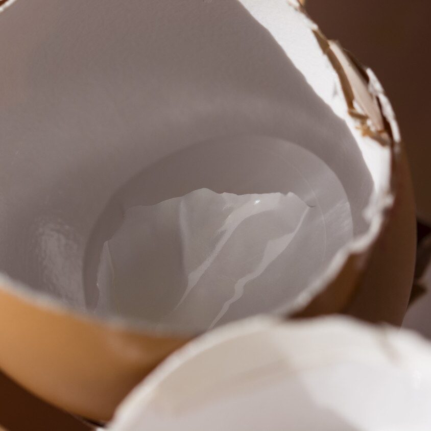 Multi Collagen Ingredients - Egg Shell Membrane