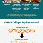 What are Collagen Peptides Made Of and How Is It Made? Infographic
