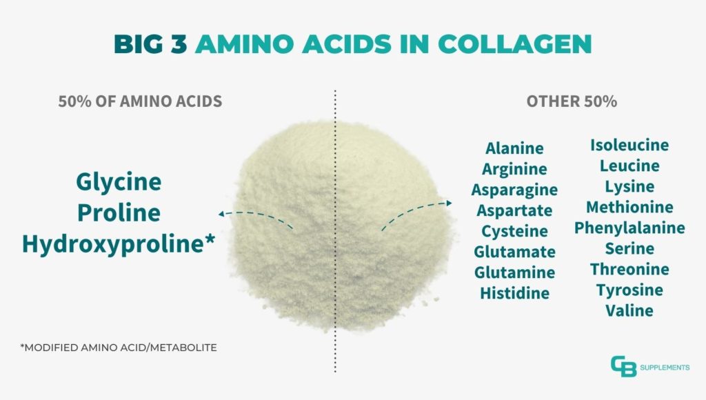 The Big 3 Common Amino Acids in Collagen