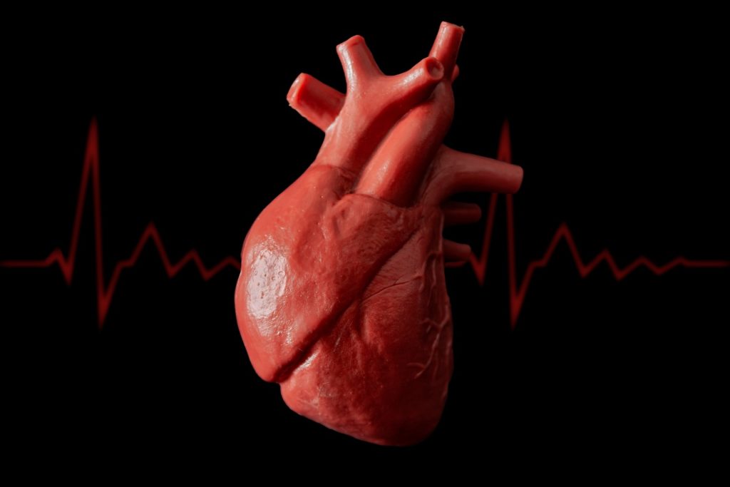 Collagen Promotes Heart & Circulatory Health