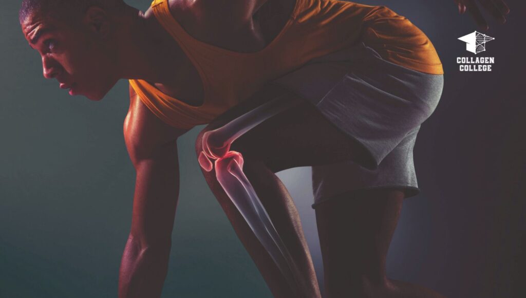Collagen for athletes - benefits, what to look for, buying tips