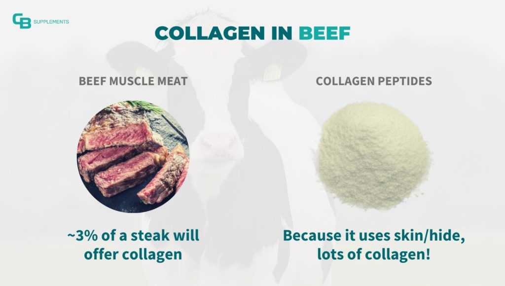 Collagen in Beef