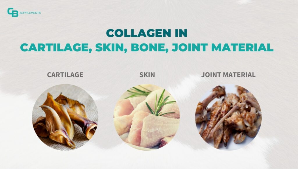 Collagen is in cartilage, skin, bone, joint material