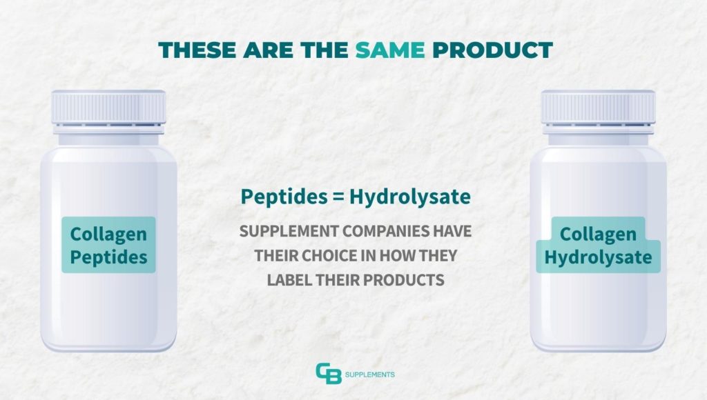 Collagen peptides vs collagen hydrolysate are the same