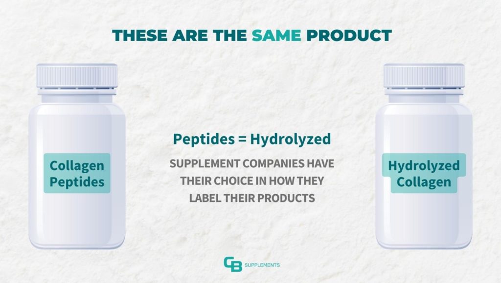 Collagen peptides vs hydrolyzed collagen are the same