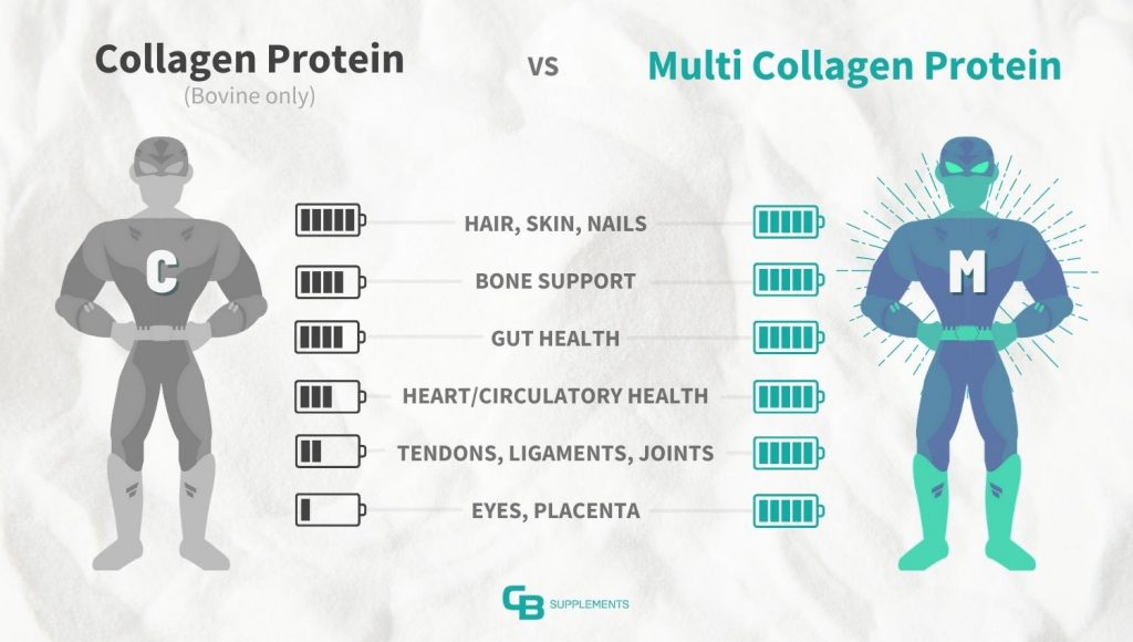 Collagen Protein vs Multi Collagen Protein Benefits Superhero scale