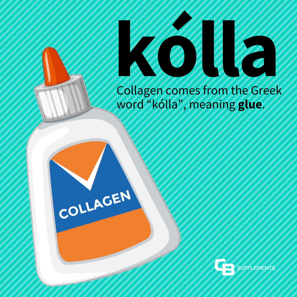 Collagen Greek Word kólla means Glue Infographic