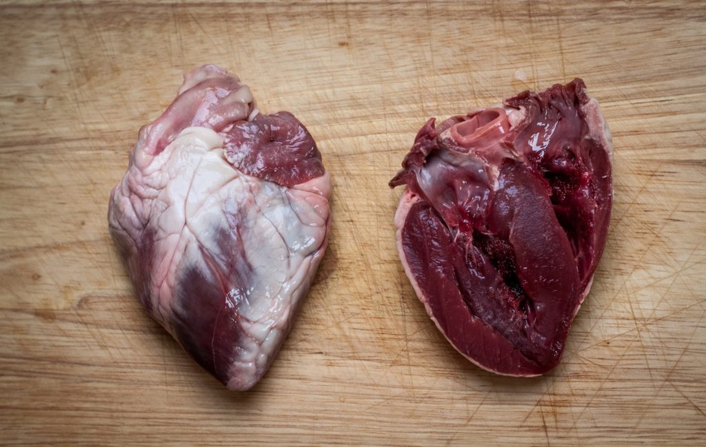 Organ Meats contain collagen