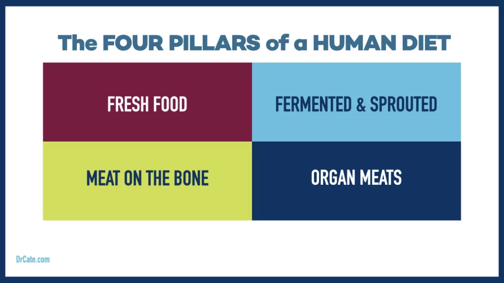 Four Pillars of a Human Diet - Dr. Cate