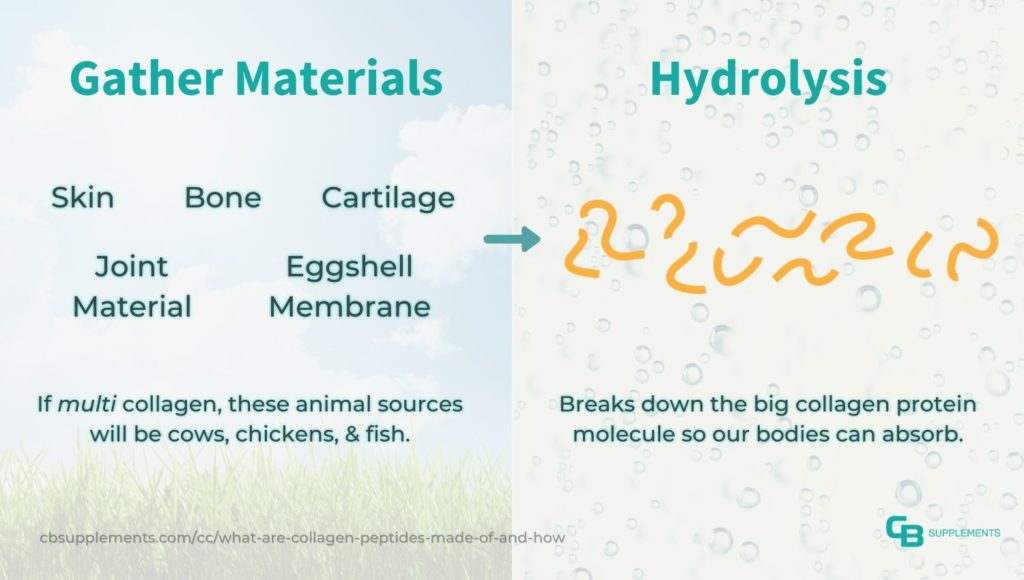 How Collagen Supplements are Made - 2 Main Steps