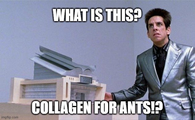 Meme Zoolander Collagen for Ants
