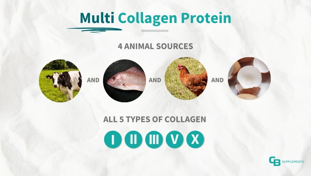Multi Source Collagen Protein Animal Source & Types