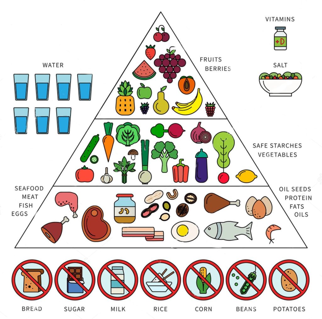 Paleo Diet Pyramid