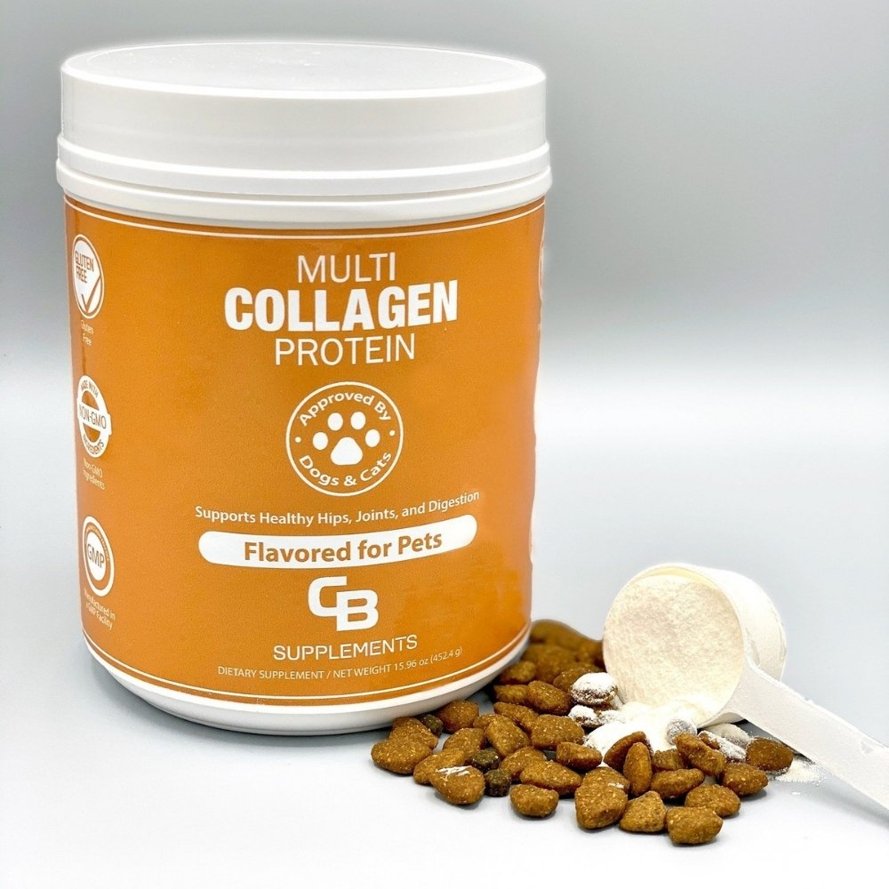 Pet collagen powder for dogs and cats scoop