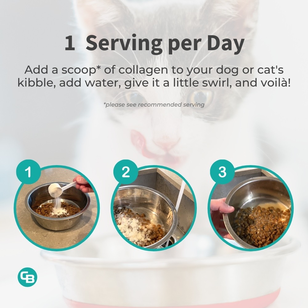 Pet collagen powder for dogs and cats - serving per day