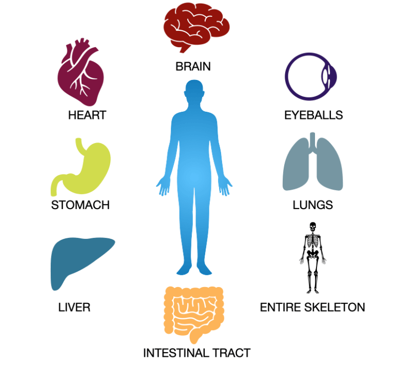 Is Collagen a Complete Protein? Here's the key: Tryptophan