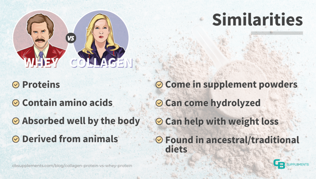 Similarities between Collagen Protein and Whey Protein