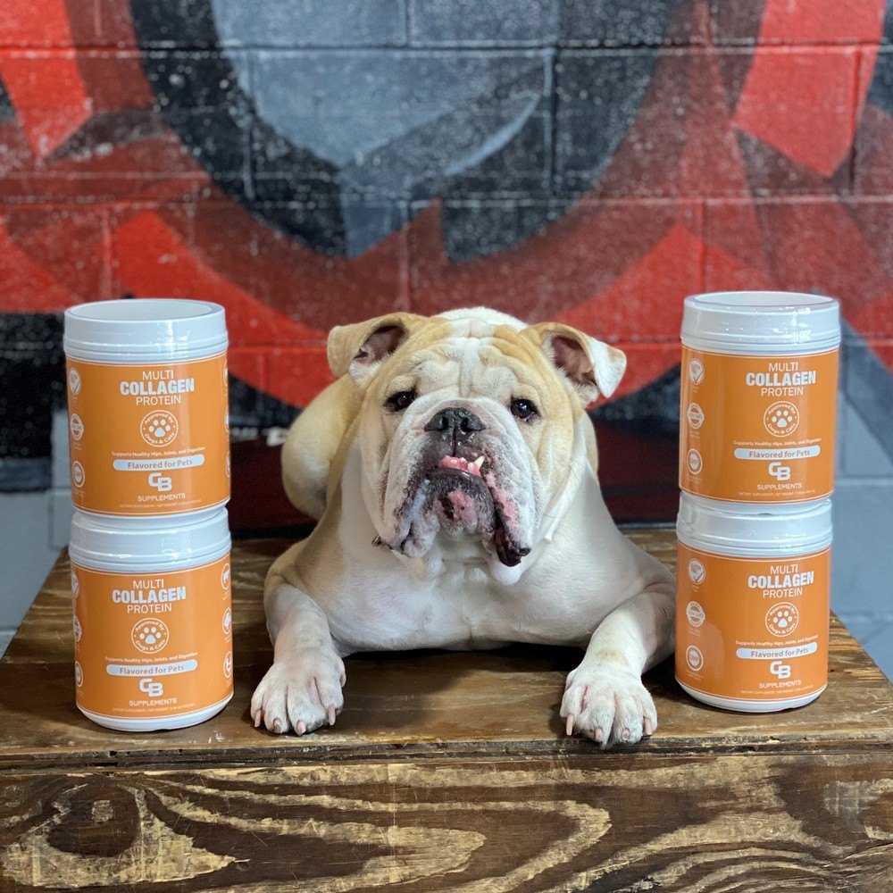Pet collagen powder for dogs and cats - bull dog with 4 containers