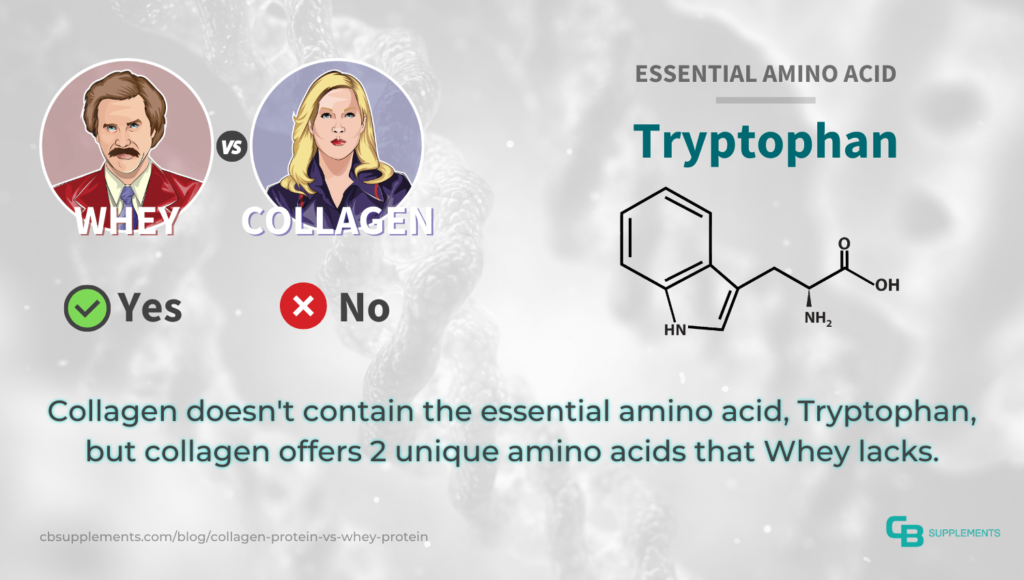 Tryptophan is missing in Collagen