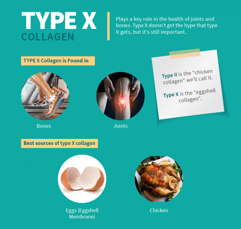 What Are The 5 Types Of Collagen? Their Sources & If You Need All 5