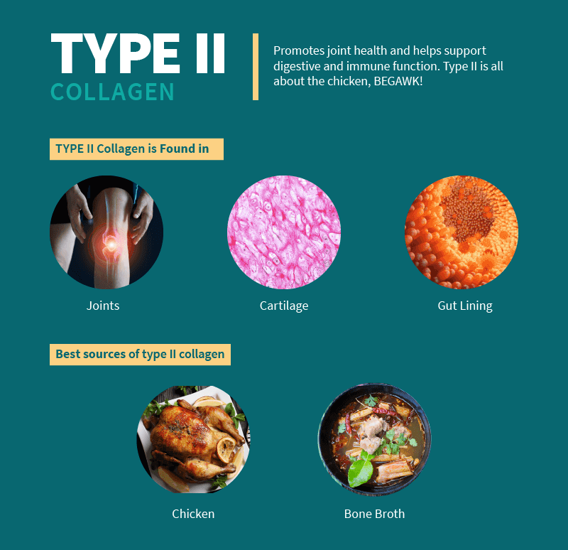 Collagen 101 Understanding the Different Types and Their Benefits