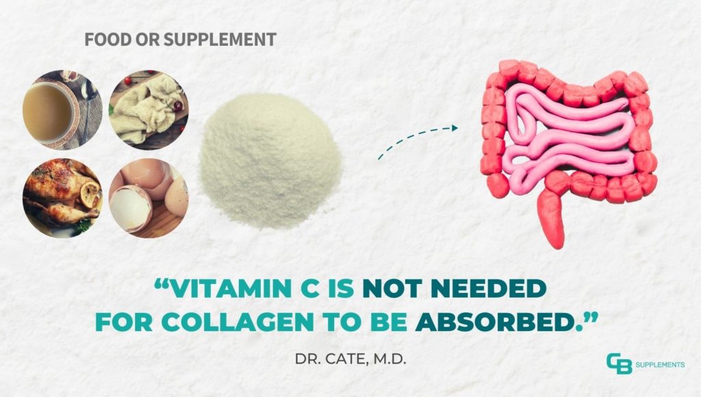 Vitamin C is not needed for collagen absorption